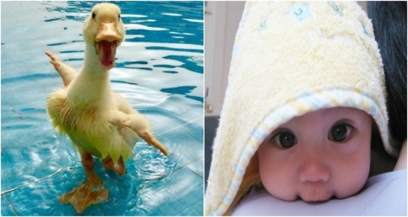 19 veselih fotki koje će vam momentalno izvući široki osmijeh na lice