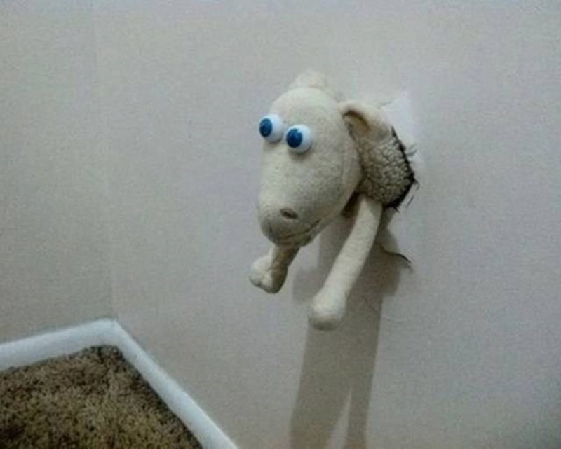 "Imali smo rupu u zidu, pogledajte kako ju je mama popravila!"