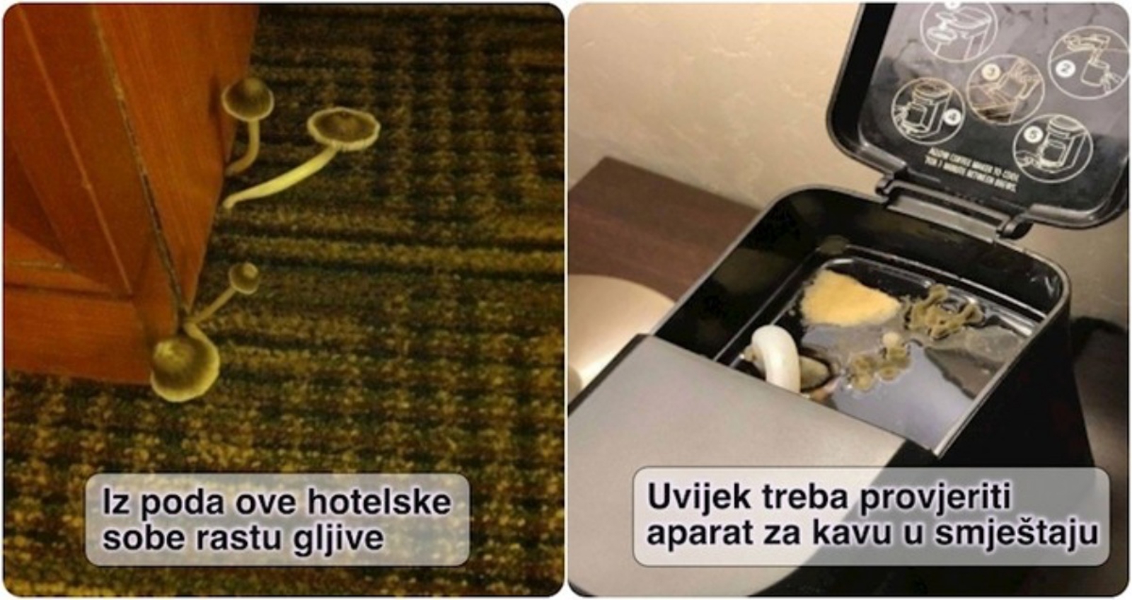 19 ljudi koji su u hotelskim sobama pronašli odvratne stvari pa su se morali svima požaliti