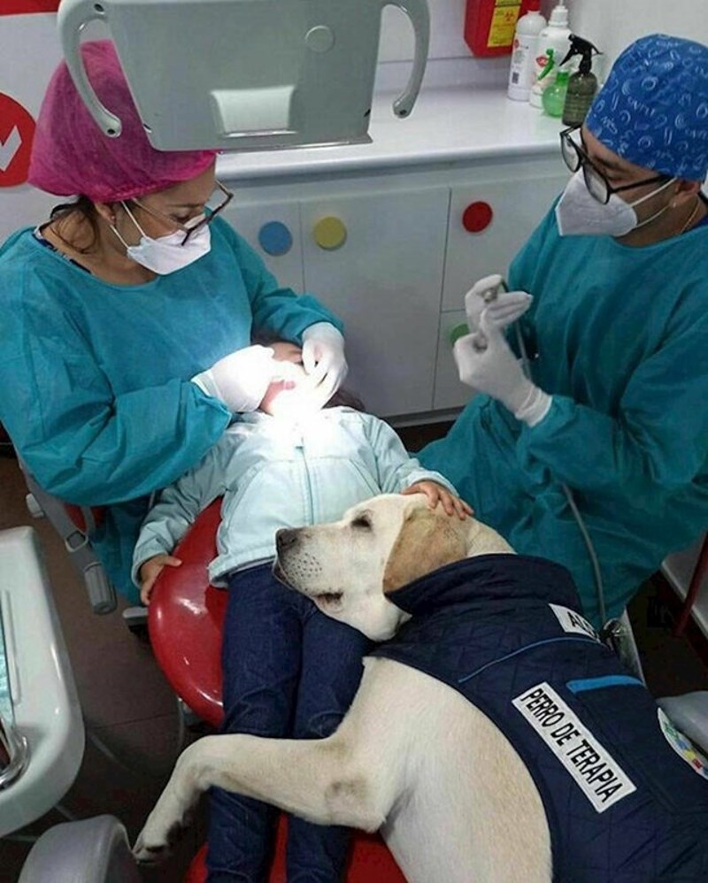 9. Dobar dečko koji pomaže da djeci odlazak zubaru bude što bezbolniji