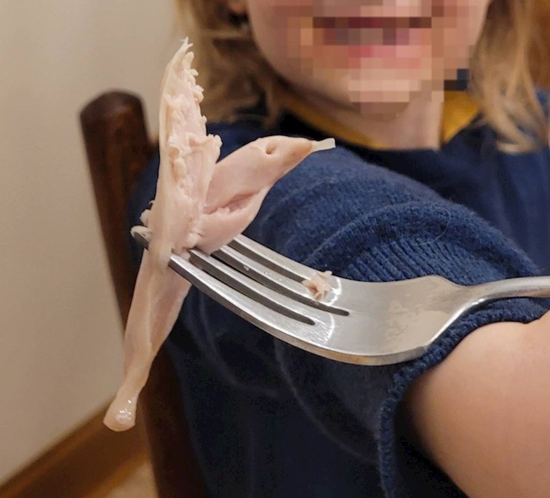 10. Komad piletine izgleda kao ptica