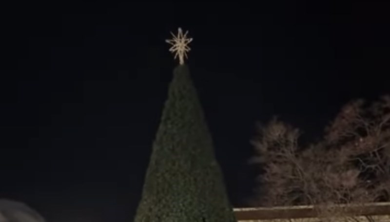 Ljudi su se okupili povodom paljenja lampica na jelki, prasnut ćete u smijeh kad vidite rasplet