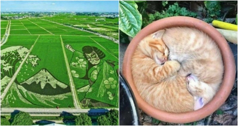 20+ fascinantnih prizora nakon kojih ćete osjetiti zadovoljstvo i unutarnji mir