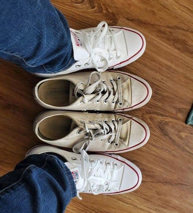 14. Stare i nove starke