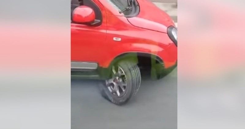 Snimka s riječke obilaznice zgrozila je cijelu Zemlju, nećete vjerovati kad vidite što vozač radi