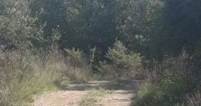 Fotka bizarne seoske ceste obišla je cijelu zemlju, odmah će vam biti jasno zašto je takav hit