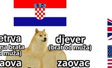 Fora o razlici između hrvatskih i engleskih naziva za svojtu oduševila je mreže, morate vidjeti