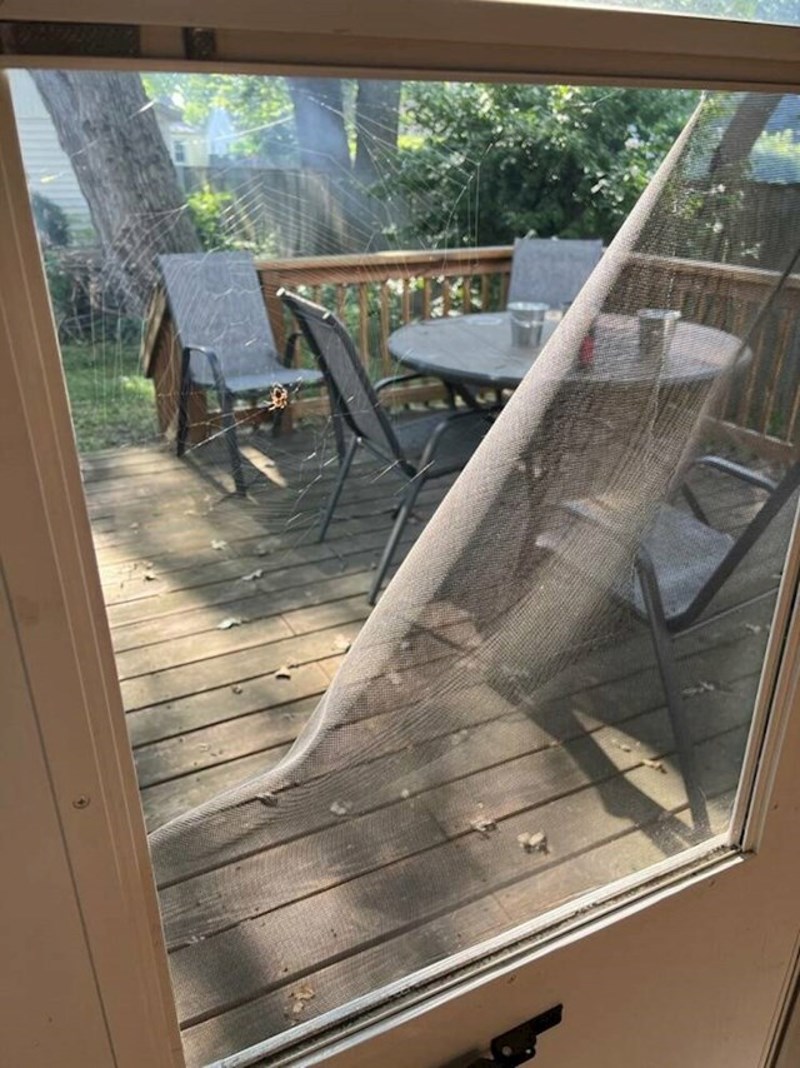 4. Pauk je popravio moja vrata 😄