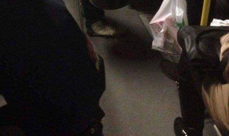 Fotka iz beogradskog javnog prijevoza nasmijala je cijelu regiju, odmah će vam biti jasno zašto