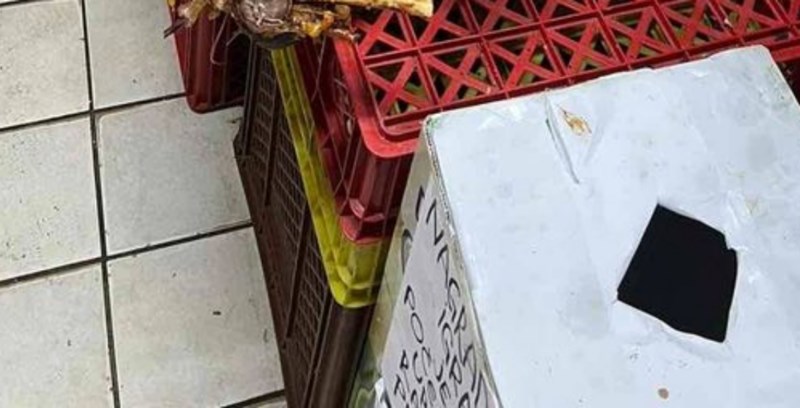 Prizor iz trgovine u Pančevu hit je u cijeloj regiji, ovako nešto moguće je vidjeti samo na Balkanu