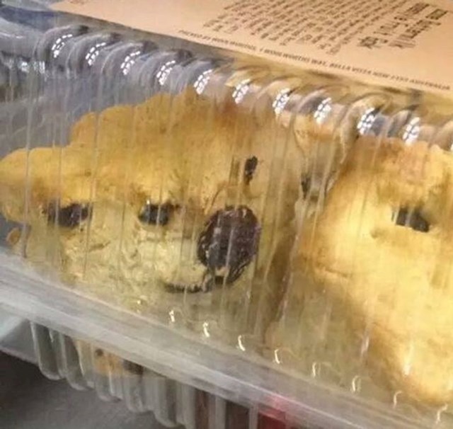 12. Vidite li i vi lice psa u kutiji kolača?
