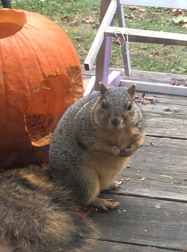 7.