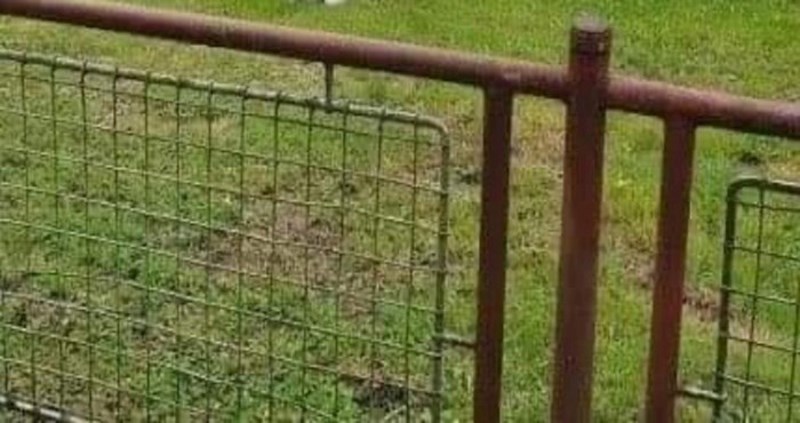 Detalj iz jednog dvorišta hit je u cijeloj regiji, morate vidjeti od čega su ljudi napravili stolice