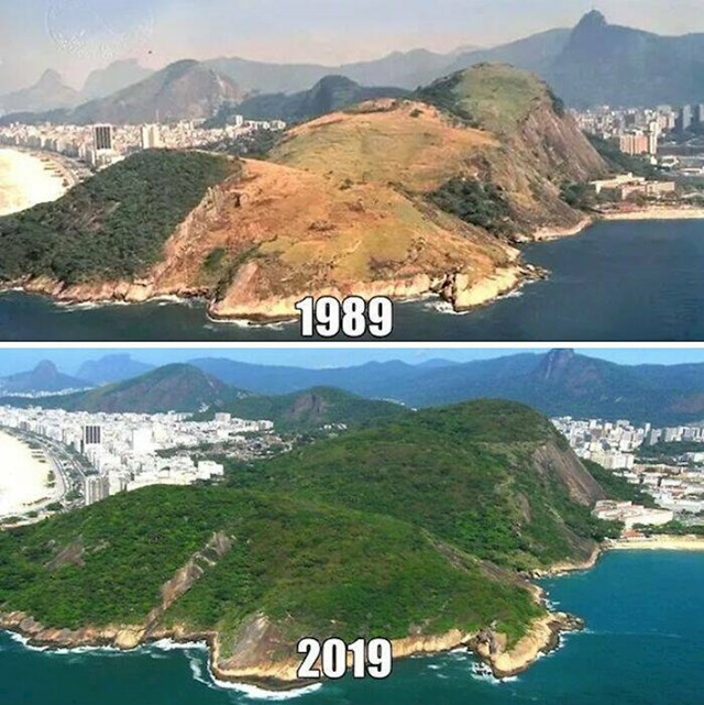 2. Pošumljavanje Rio De Janeira