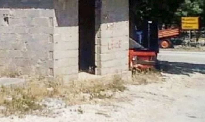 Teško objašnjiv prizor iz Dalmacije hit je na Fejsu, ovakav biser se ne viđa svaki dan