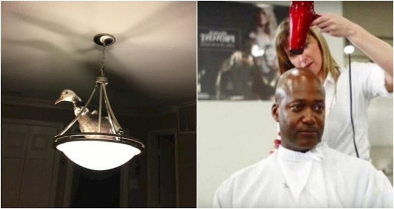 17 čudnih fotki na kojima se događa nešto posve suludo