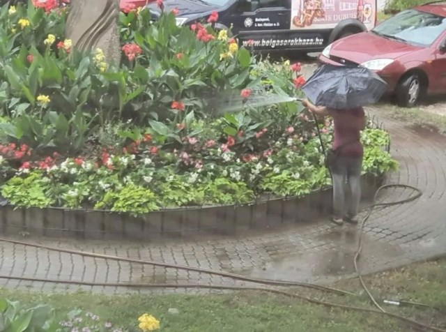 Ono kad toliko voliš svoje cvijeće da ne vjeruješ da će ga kiša dovoljno dobro zaliti...
