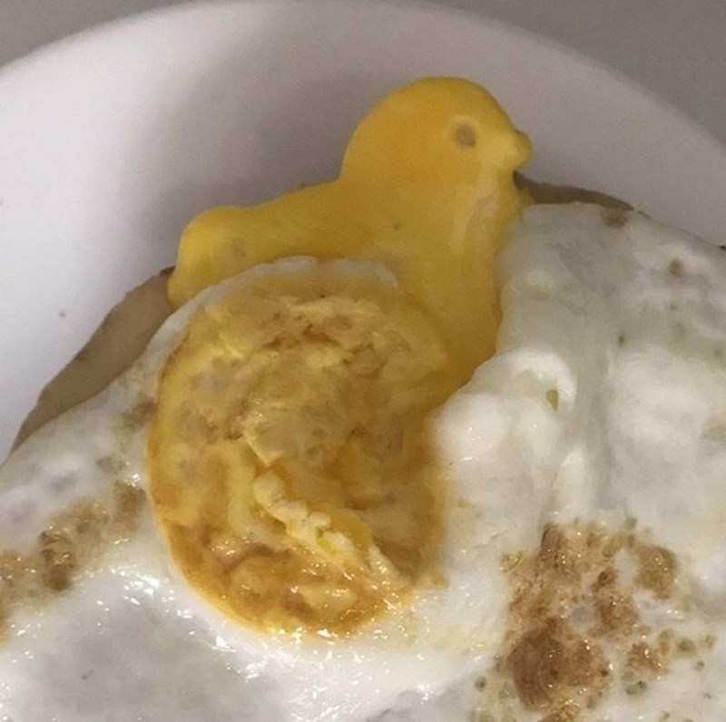 4. Jaje iz kojeg se napravilo pile. Svemir ima malo morbidan smisao za humor.