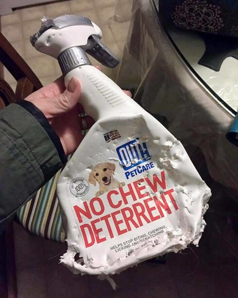 5. Detrdžent protiv žvakanja, sudeći prema priloženom, totalni je promašaj