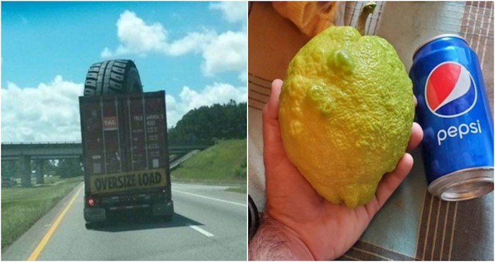 17 predmeta, bića i pojava koji će vas zapanjiti svojom veličinom