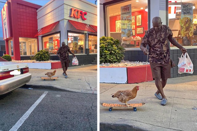 11. Kokoš na skateboardu ispred KFC-a