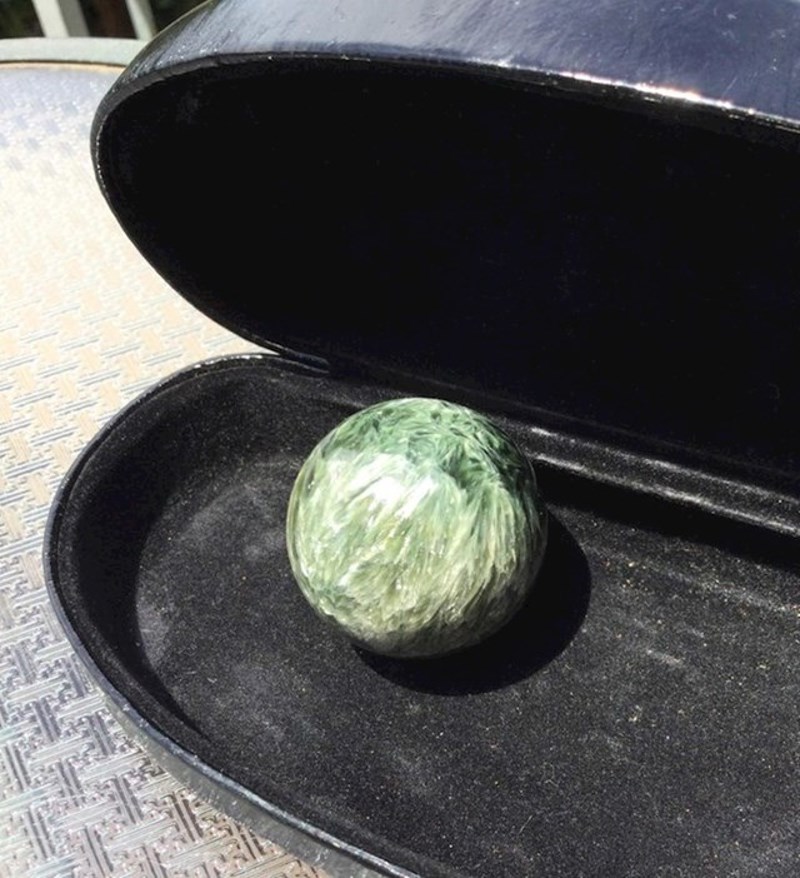 8. Pikula izgleda kao prokulica