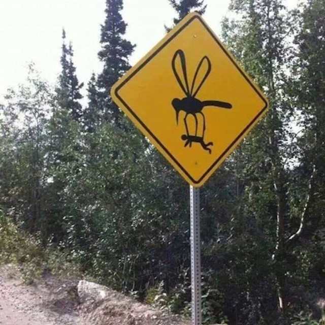 4.
