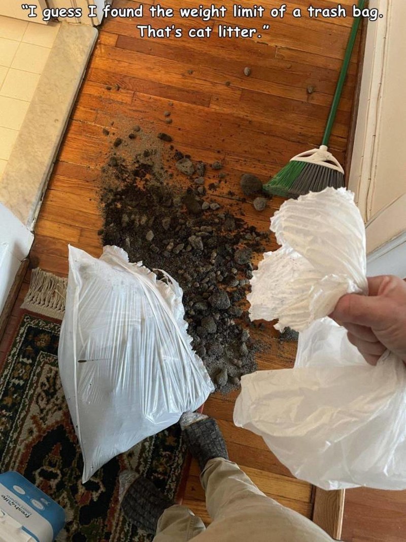 18. Vreća za smeće je pukla pod teretom i iz nje je po mojem parketu iscurio sav mačji pijesak