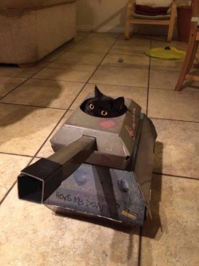 13.