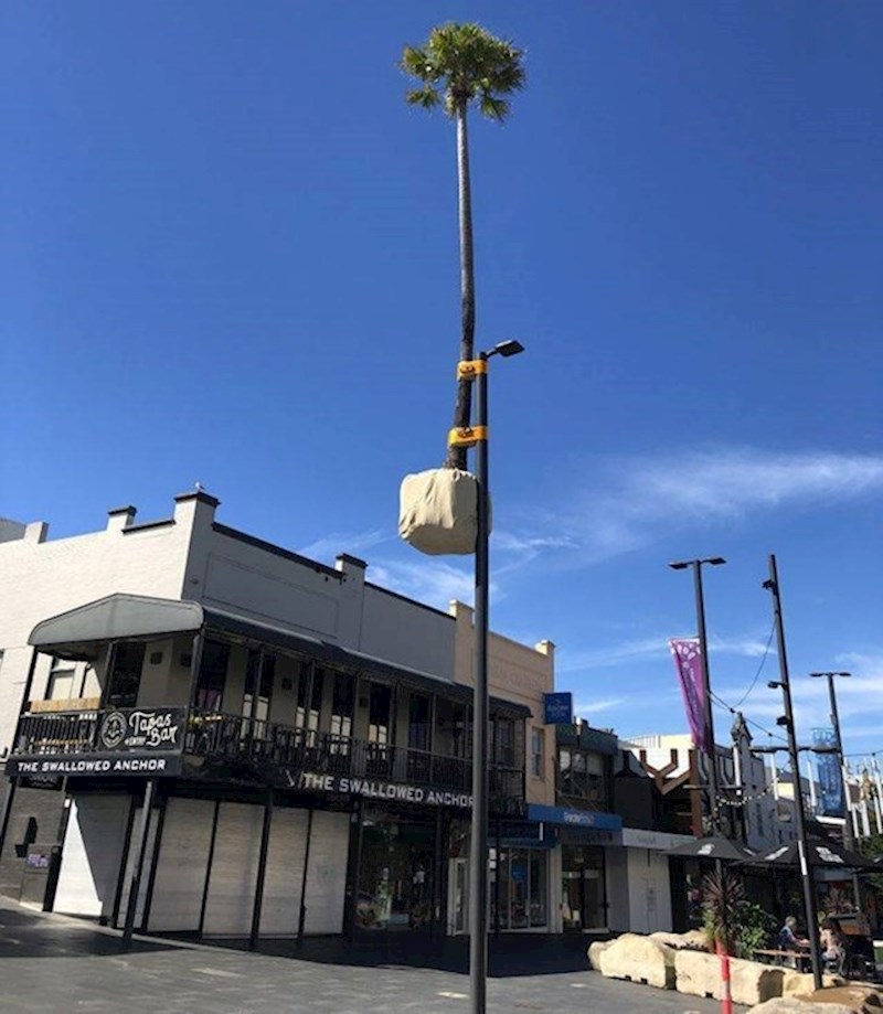 17. Pokušajte objasniti ovo😂