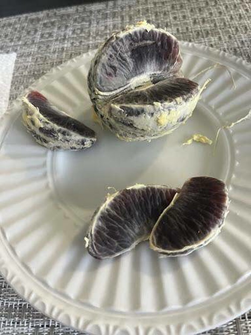 10. Jeste li ikada vidjeli crnu naranču?