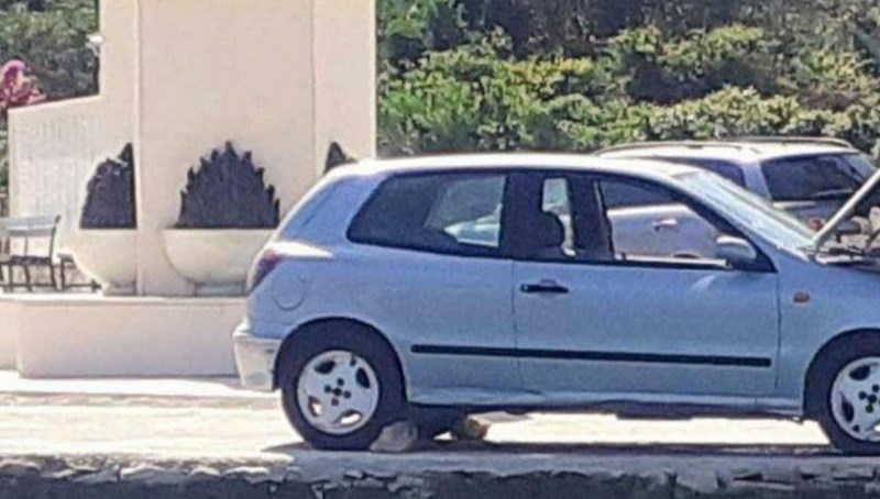 Fotka iz Hrvatske apsolutni je hit na popularnoj FB stranici, morate vidjeti što Dalmatinac radi