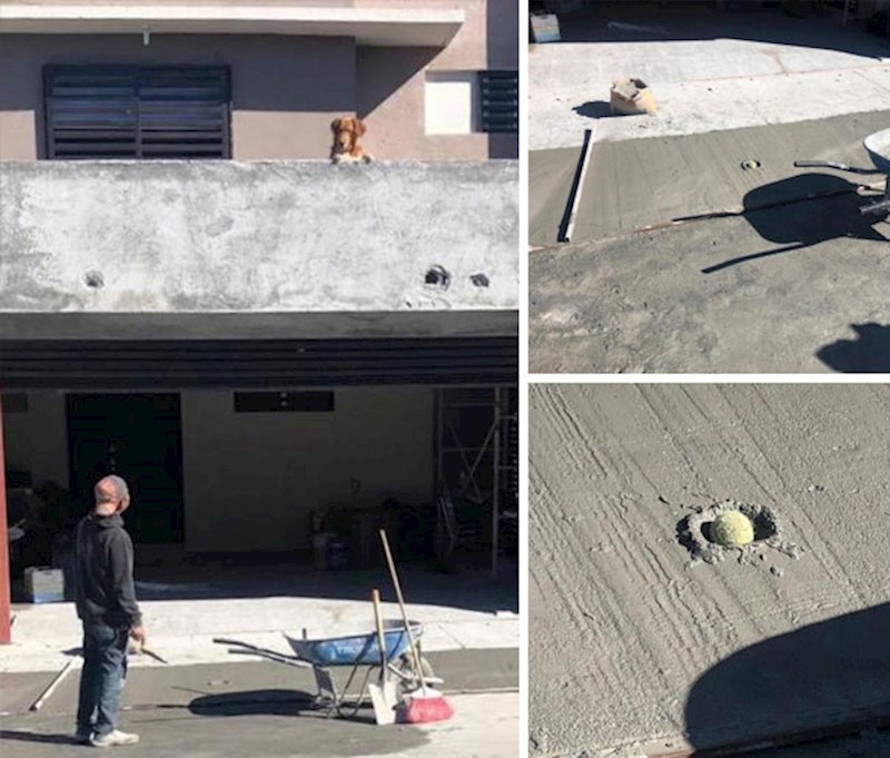 2. Bravo, odličan posao🤣