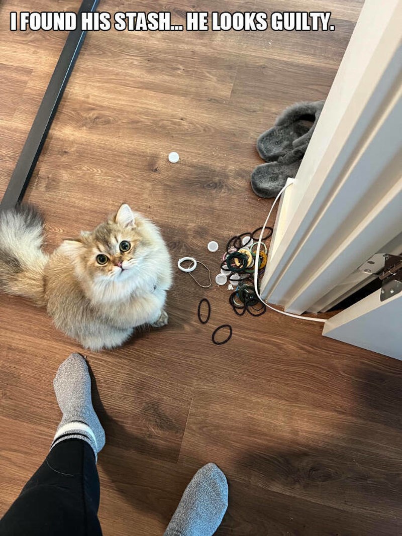 2. Pronašla sam njegovu kolekciju...izgleda tako krivo.