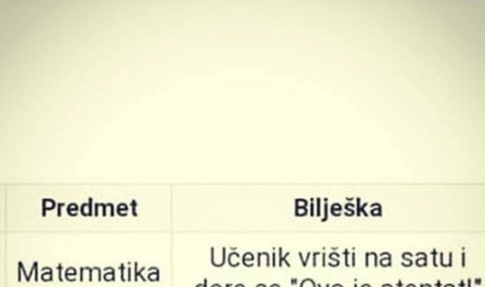Bilješke iz e Dnevnika o ponašanju učenika na satu matematike hit su na Fejsu, morate vidjeti