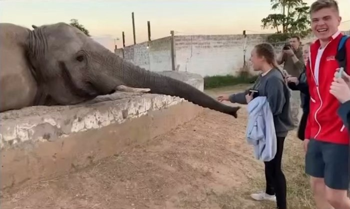 Turisti su se okupili oko slona i snimali ga, a onda ih je sve šokirala njegova iznenadna gesta