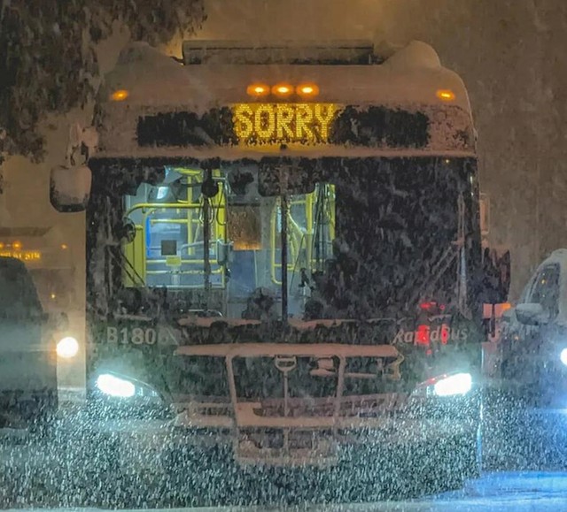 14. Bus u Kanadi