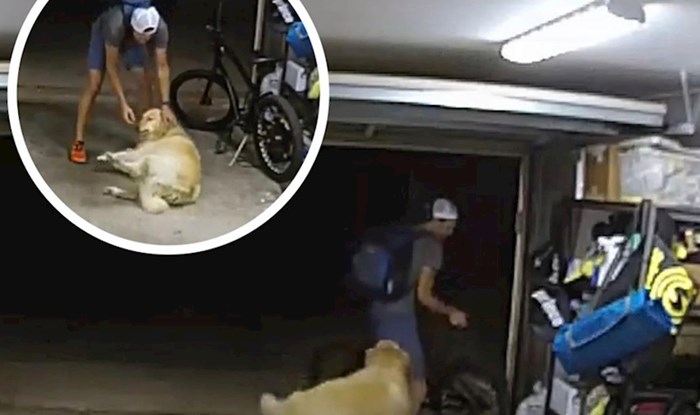 Tip je krao bicikl iz garaže i usput se sprijateljio s vlasnikovim psom, snimka je viralni hit