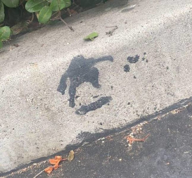 15. Mrlja u obliku skejtera koji izvodi trikove