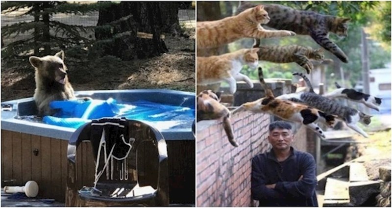 17 rijetkih i dosta čudnih prizora koje teško da ćete ponovno vidjeti