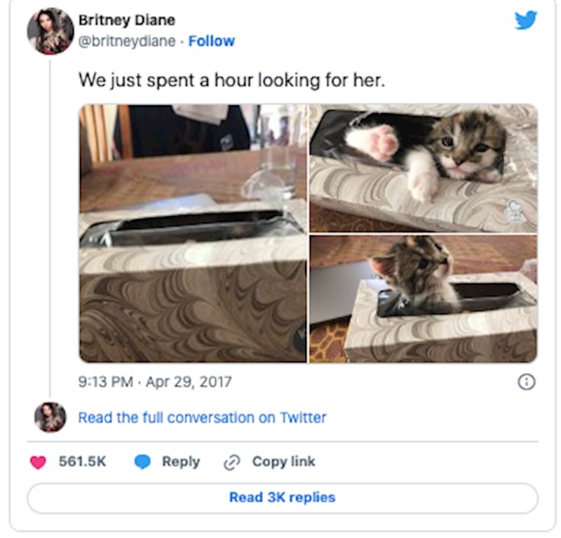 6. Proveli smo sat vremena tražeći ju.