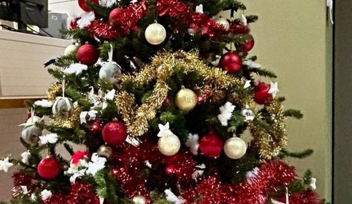 Božićno drvce iz jednog ureda oduševilo je cijelu Dalmaciju, odmah će vam biti jasno zašto