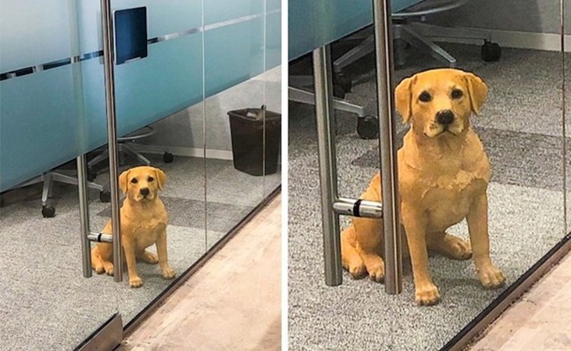 "Bila sam tužna jer je netko ostavio psa samog u uredu pa sam se išla igrati s njim, a onda sam shvatila da je to kip."