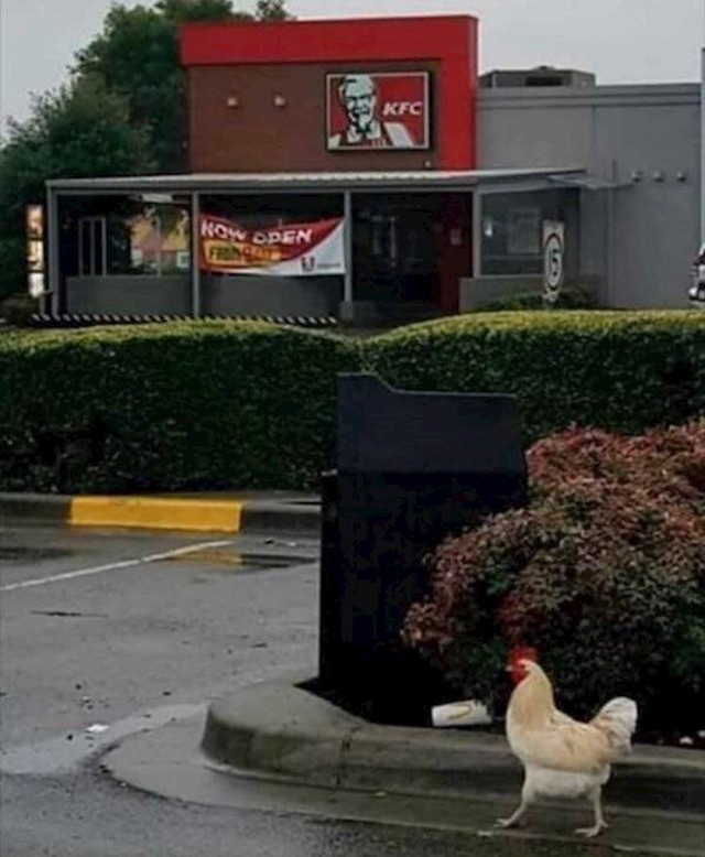 17.