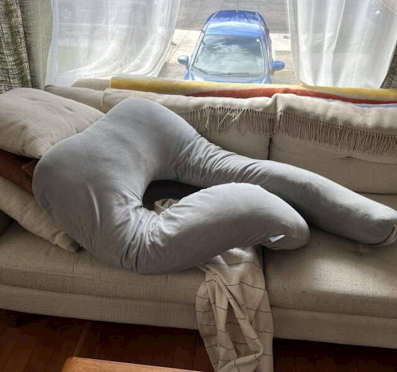 8. Moja žena koja je u drugom stanju donijela je ovo kući. Trebam li se boriti protiv toga?