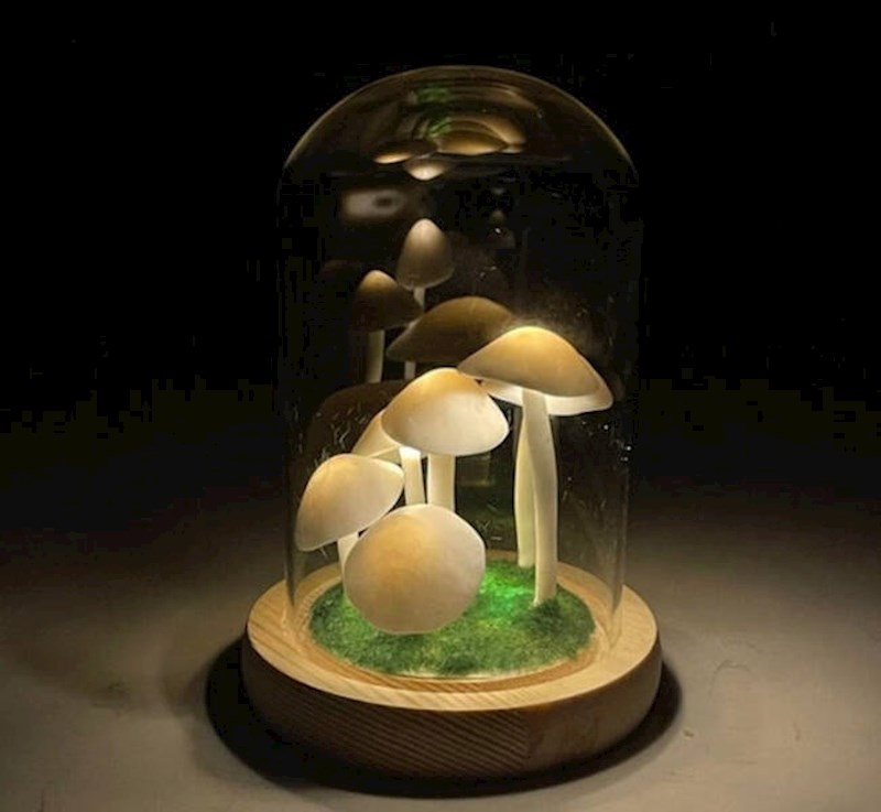 5. Lakše mi je raditi posao koji baš i ne volim uz ovu novu lampu s gljivama