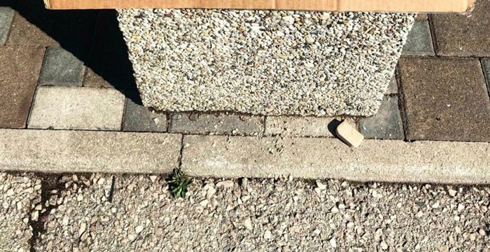 Preko tisuću ljudi na Fejsu lajkalo je prizor iz Skradina, pogledajte što je netko ostavio na ulici