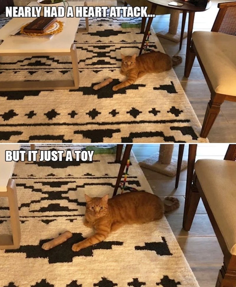 To je samo igračka, šapica joj je ispod🤣