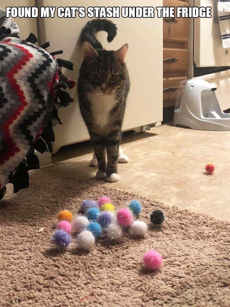 12. Pronašla sam njezinu zalihu ispod frižidera