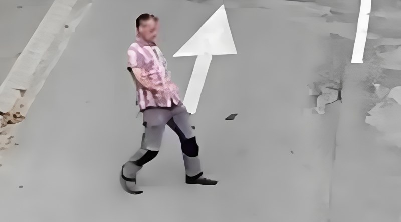 Netko je snimio sulud prizor pod svojim prozorom, ovako bizaran hod još niste vidjeli